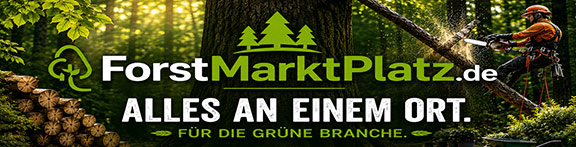 Mann im Wald f�llt Ast vom Baum